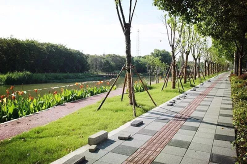 c7c7娱乐平台官网入口(中国游)官方网站
